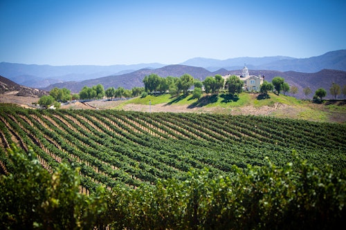Temecula Valley Wine Country